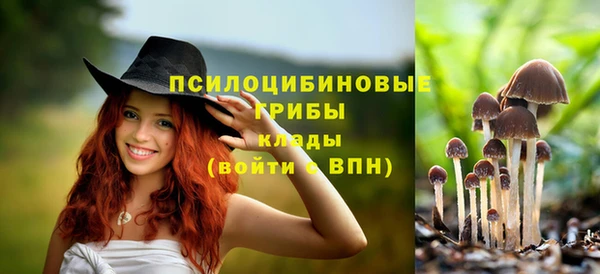 дживик Беломорск